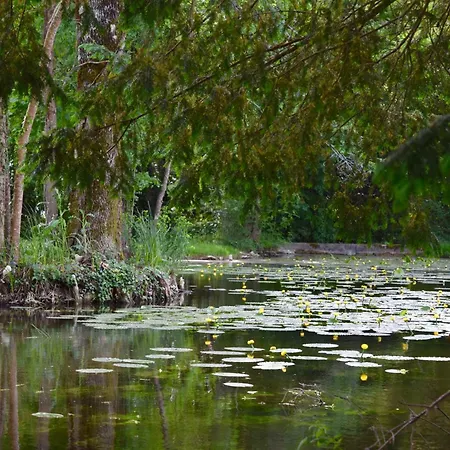 Manoir De Plaisance Benon